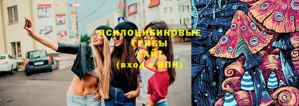 ешки Горнозаводск