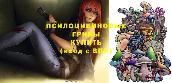 ешки Горнозаводск