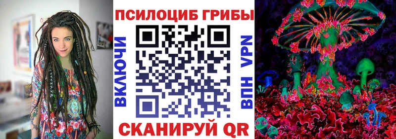 Купить закладки  Кодинск  Псилоцибиновые грибы прущие грибы 